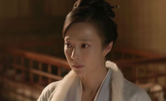 《知否知否应是绿肥红瘦》中饰演卫小娘