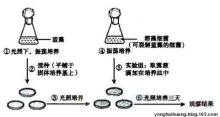 原癌基因和抑癌基因