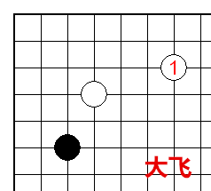 大飞