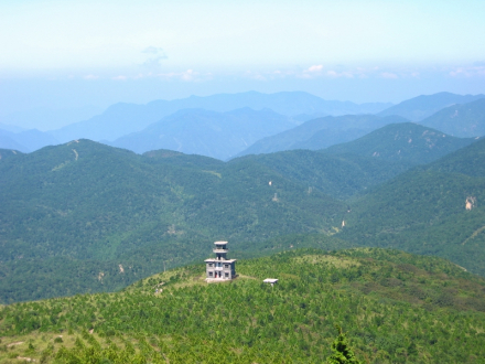 庆元县