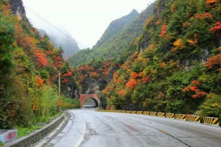 康县景色