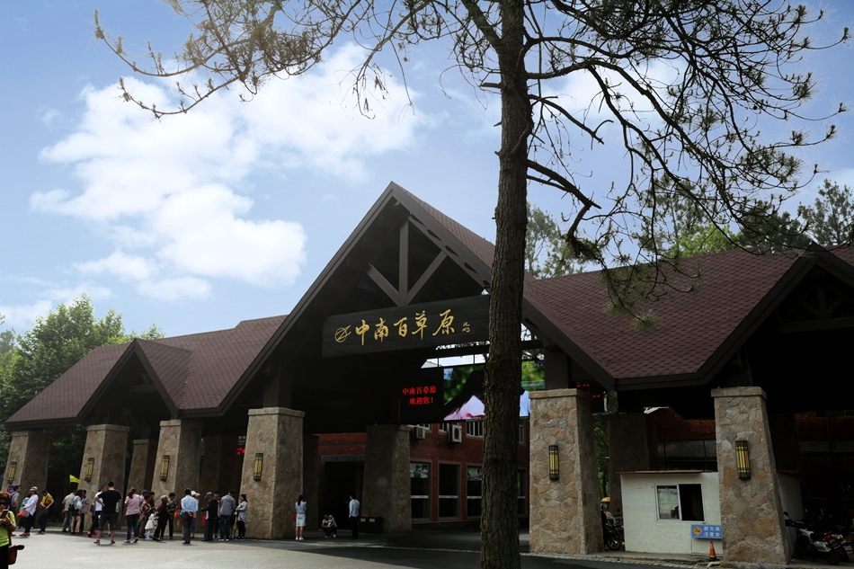 中南百草原景区 