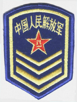 87式仪仗队空军臂章