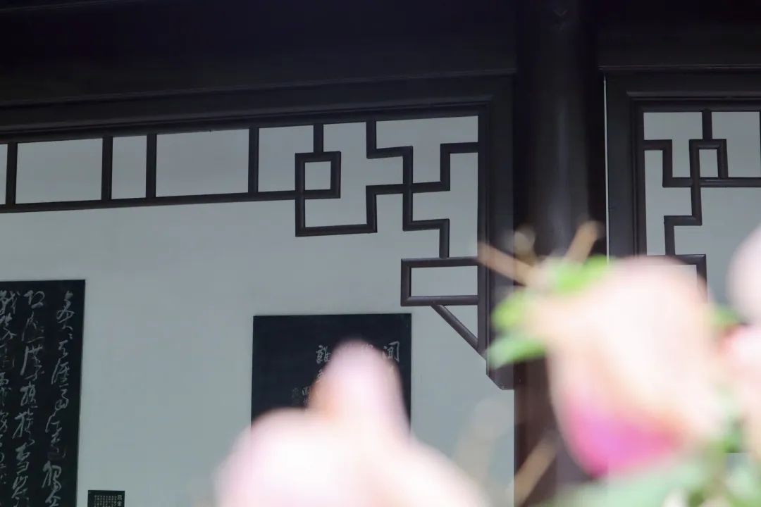 浣花溪公园景色
