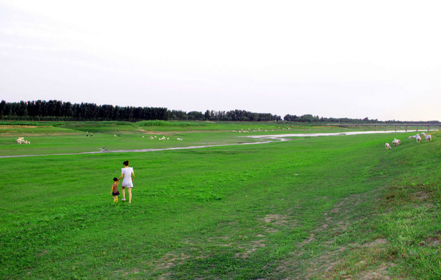 庆云县河道