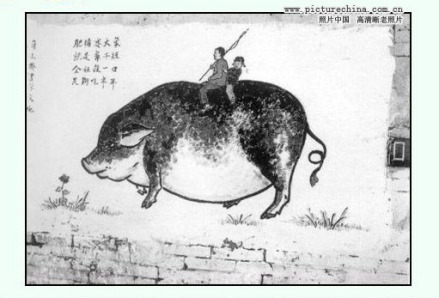 “浮夸风”——肥猪赛大象