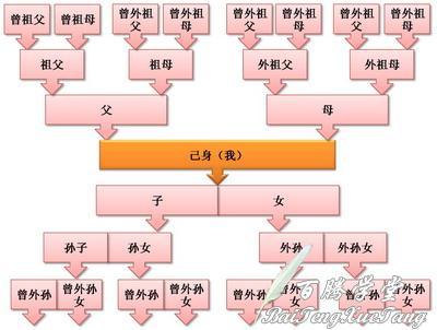 血缘关系