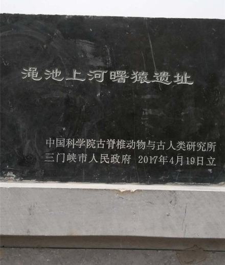渑池上河曙猿遗址