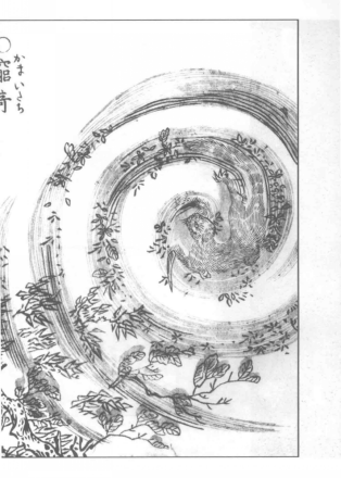 鼬鼠形态