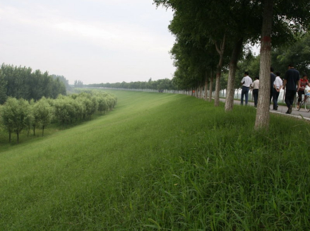 黄河大堤