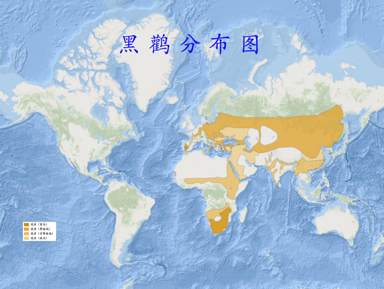 黑鹳分布图