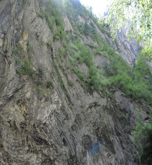 尖山逆冲断层