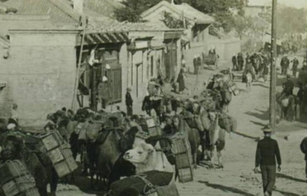 1905年东交民巷骆驼运输队