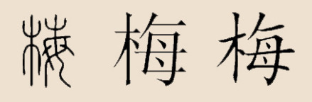 梅姓汉字演化