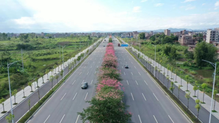 罗定环市南路