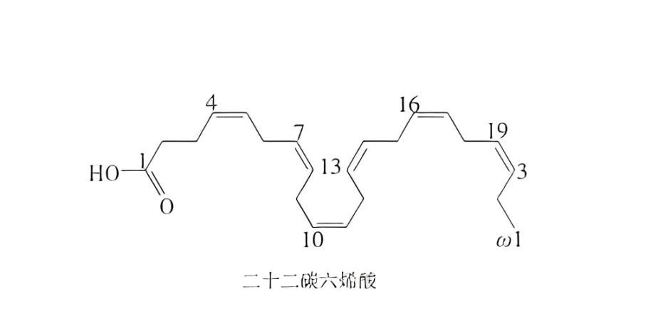 二十二碳六烯酸