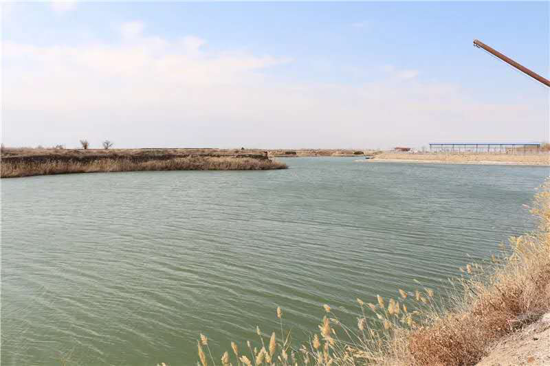 百泉镇白杨树村生态旅游度假区