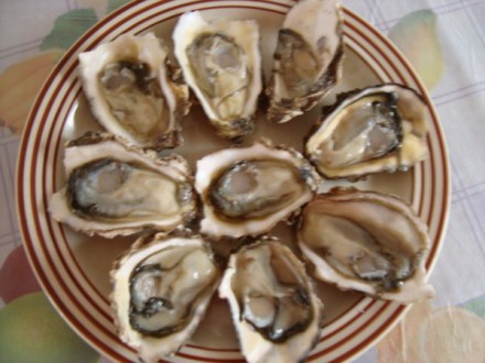 生吃海蛎