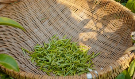 钟祥云雾茶