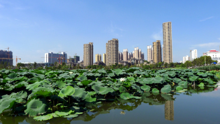 芜湖