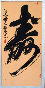 榜书。寿.