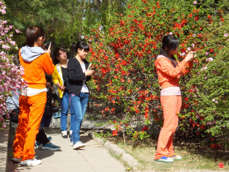 宁夏师范大学老校区校园掠影