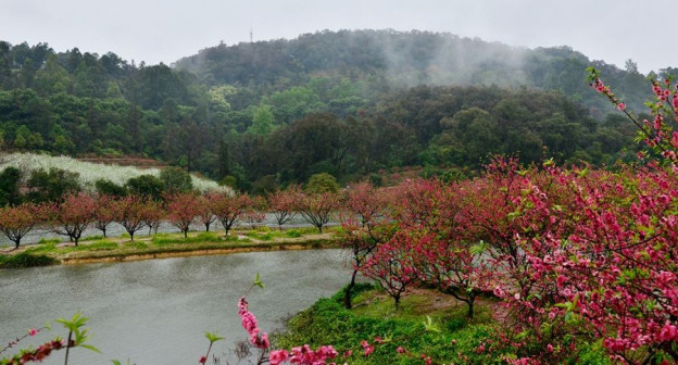 鳌峰山桃花谷