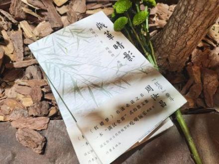 随笔集《岁华晴影》 