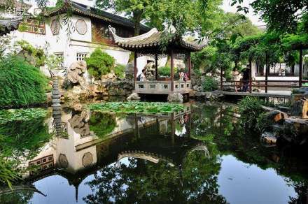 绿荫