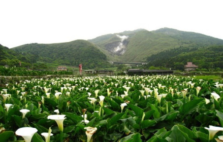 阳明山公园