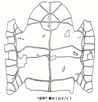 四卦龟甲