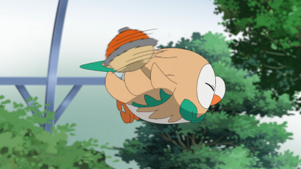 木木枭
