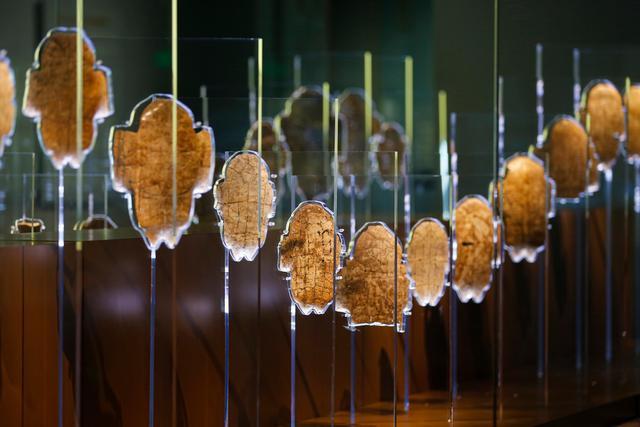 殷墟花园庄东地甲骨特展