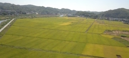 兴宁市农业
