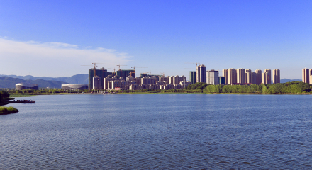 阳新城区