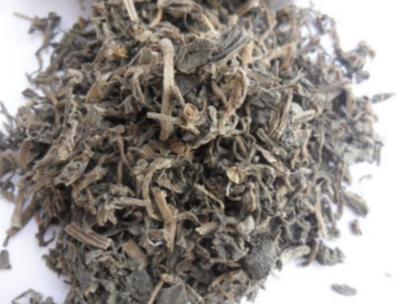 中药材马齿苋