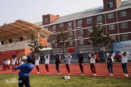 体育活动