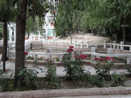 求实东校美景