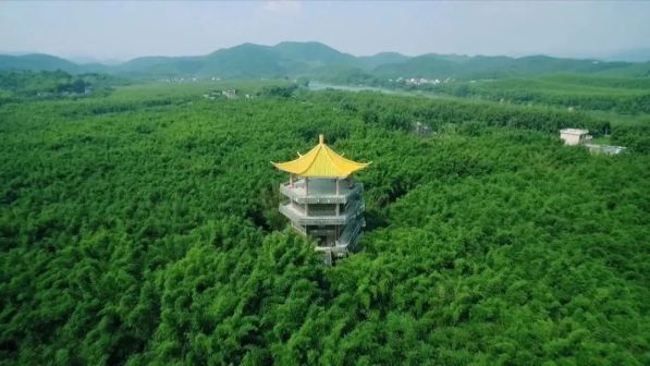 广宁竹海大观景区