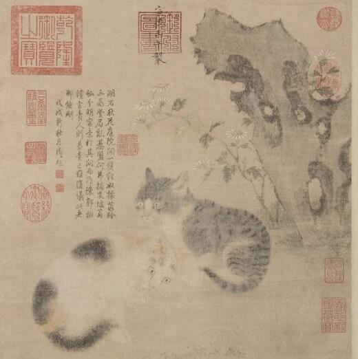 《花下狸奴图轴》