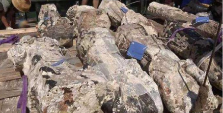 珊瑚岛沉船遗址文物