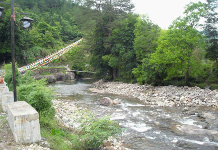 里光溪泰顺县司前镇段 