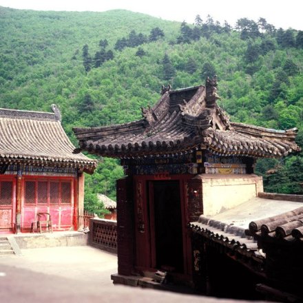 赵杲观