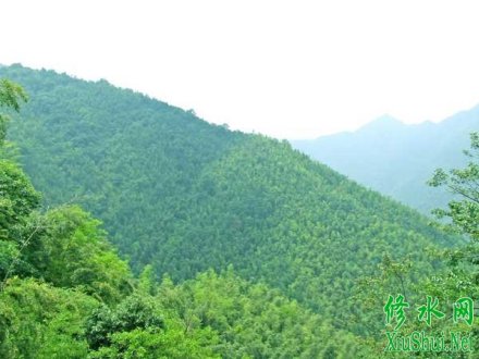 梅山森林公园