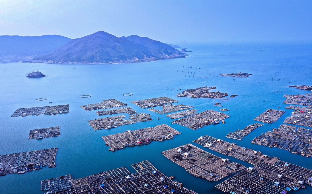 流水镇的养殖基地