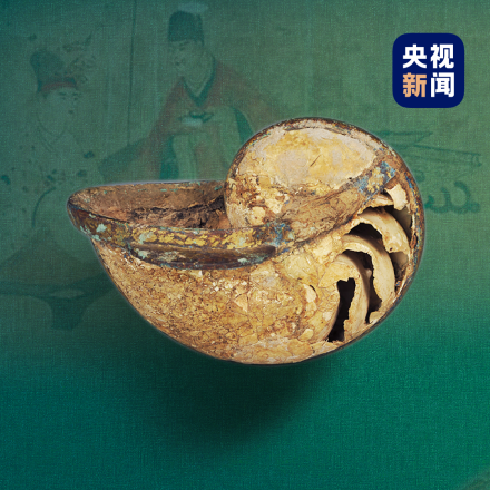 鹦鹉螺杯