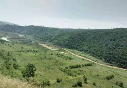 碾子坡遗址远景