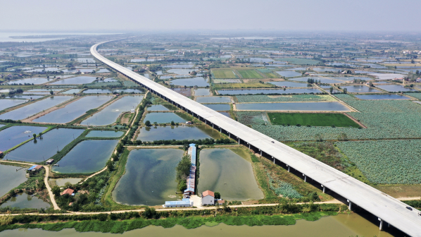 新洲交通线路