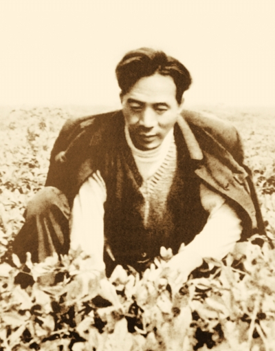 焦裕禄在劳动中