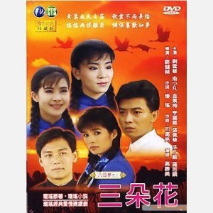 三朵花 华视普版DVD
